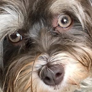 Meet your Posher, Sue